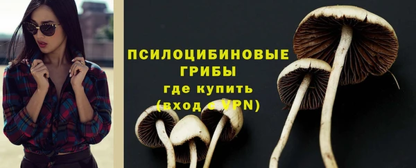 гидра Орск