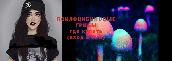 гидра Орск