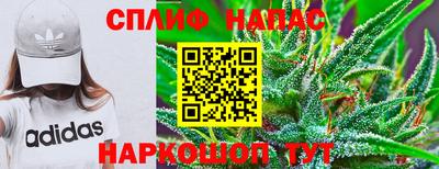 прущие грибы Волжск