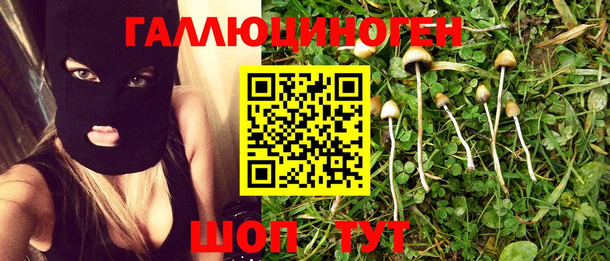 Псилоцибиновые грибы Cubensis Зеленодольск