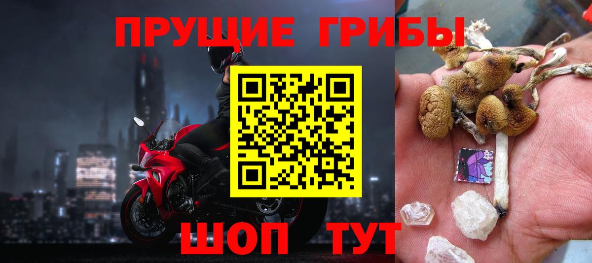 наркошоп  Зеленодольск  Галлюциногенные грибы Magic Shrooms 
