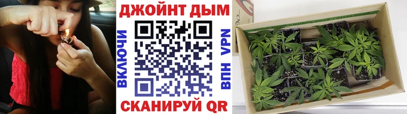 продажа наркотиков  Зеленодольск  Канабис Amnesia 